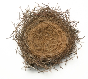 Empty-Nest